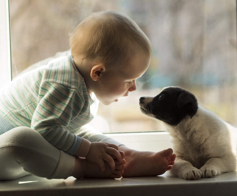 Лучший друг