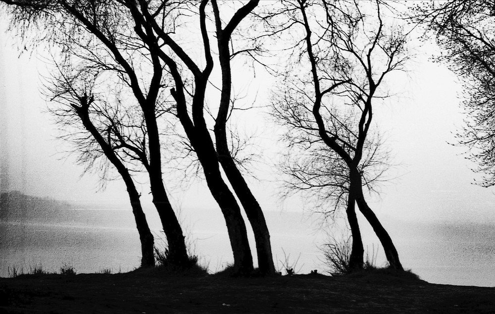 Тайна трех сестер..