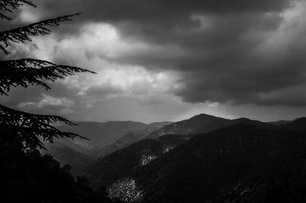 Игра света и тени