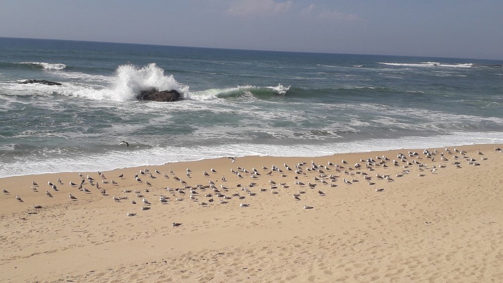 Photograph by Mónica Silva