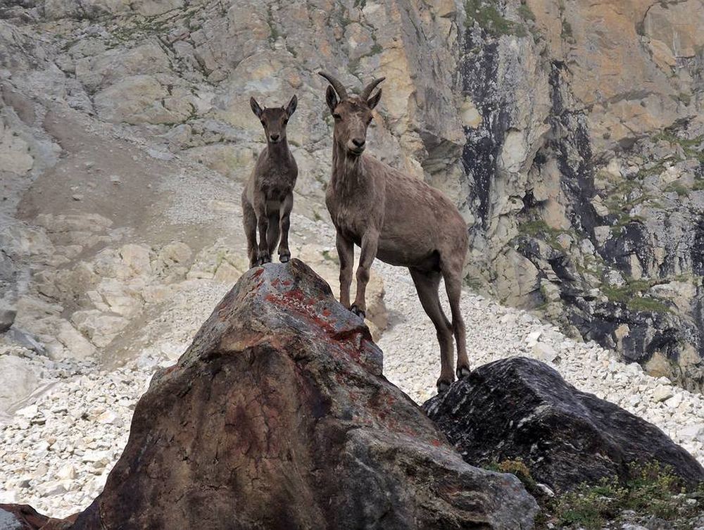 В горах Кавказа