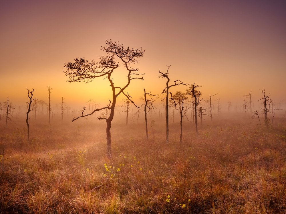 Photograph by Ковалевич Олег Степанович