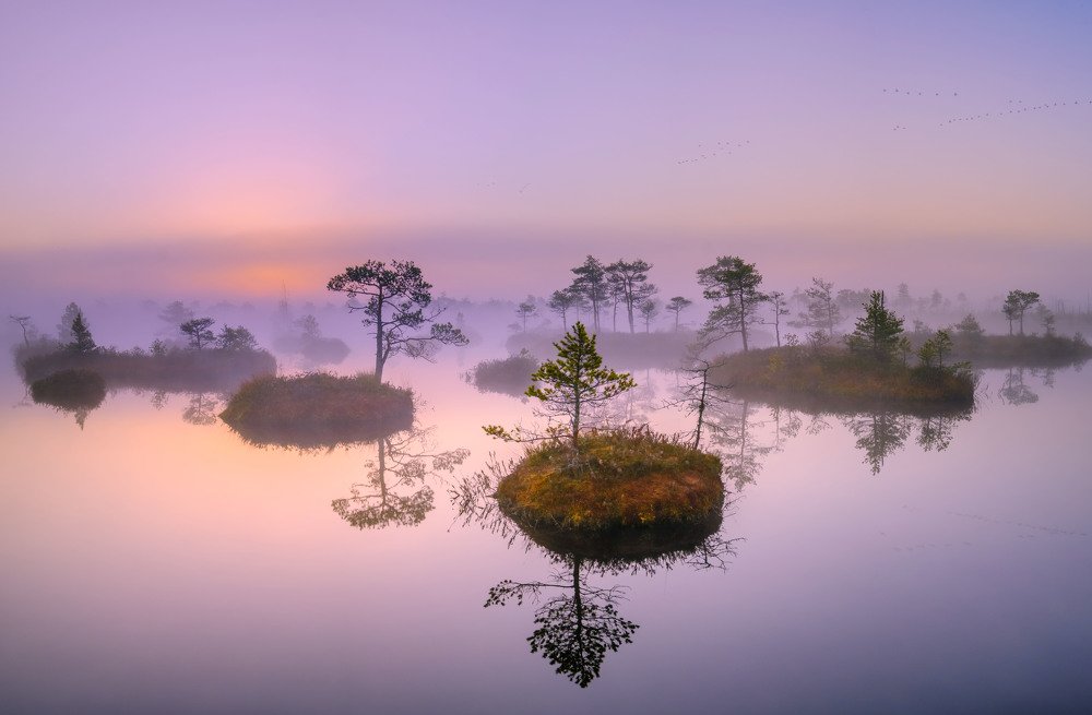 Photograph by Ковалевич Олег Степанович