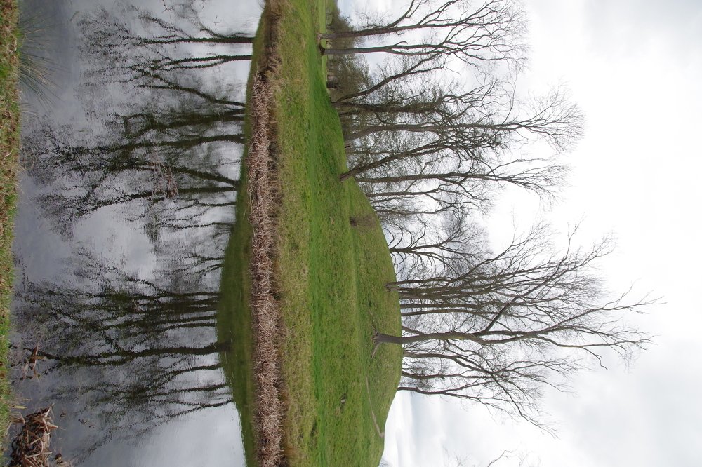 Mirroring