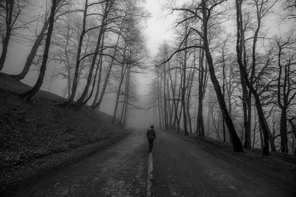 Alone in Fog
