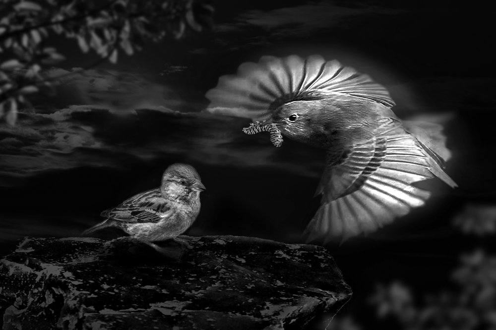 Buổi ăn chiều tối