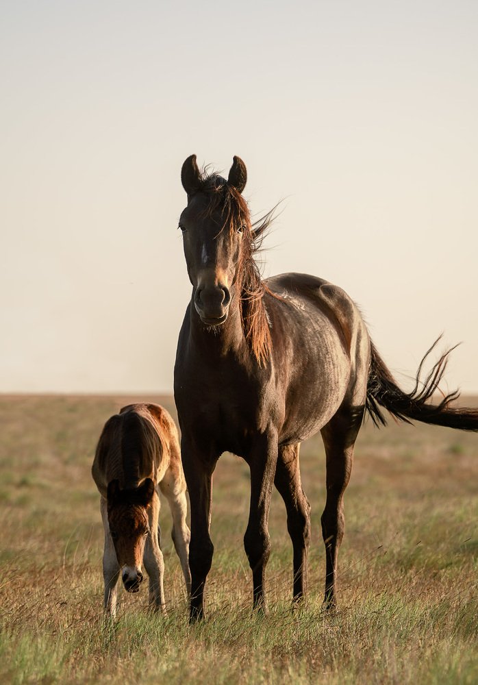Photograph by Олег Милеев (Каминцев)