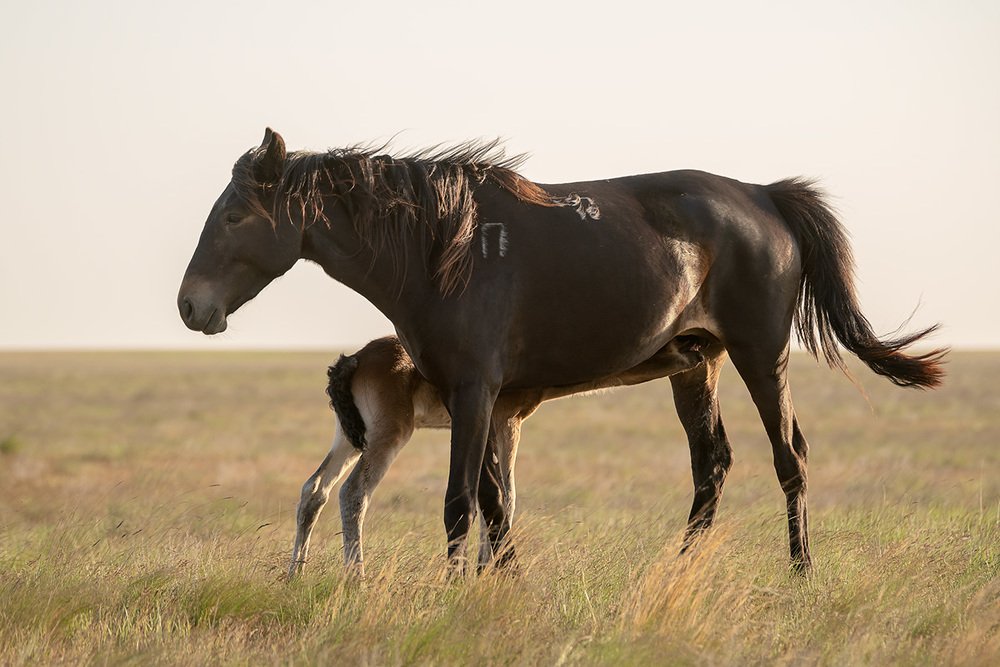 Photograph by Олег Милеев (Каминцев)