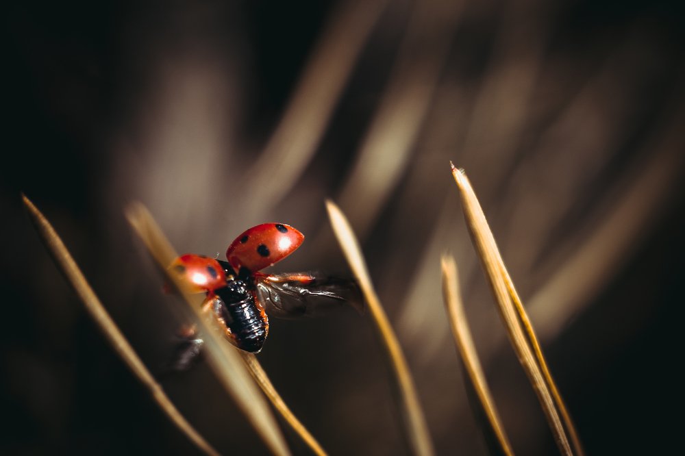 уходящее лето