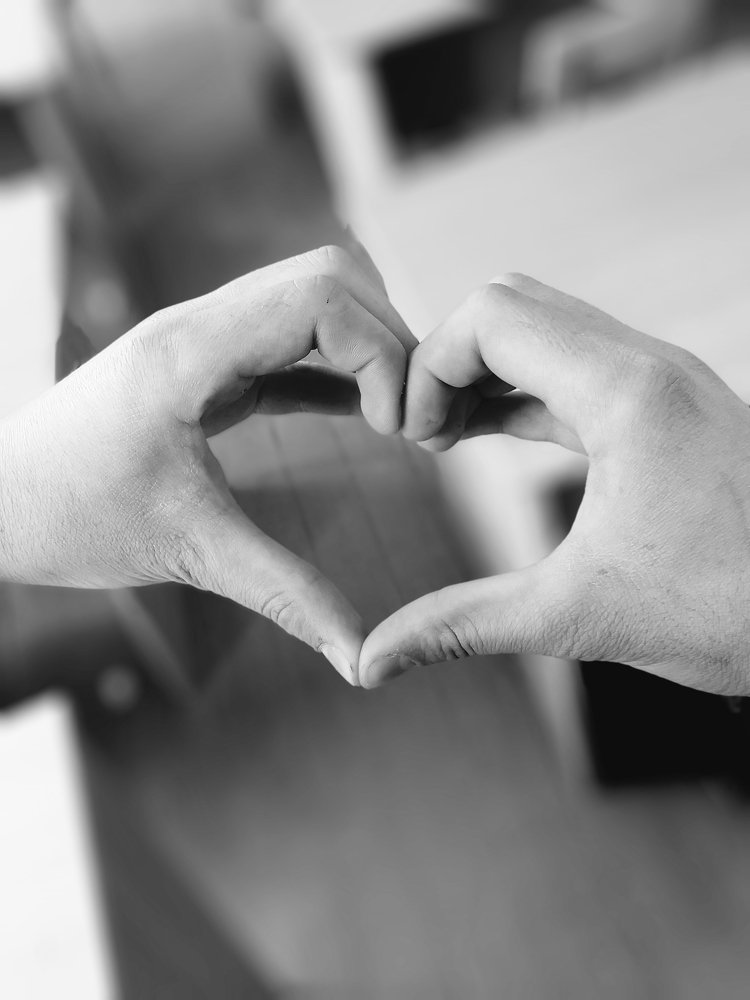 Photo #3137520