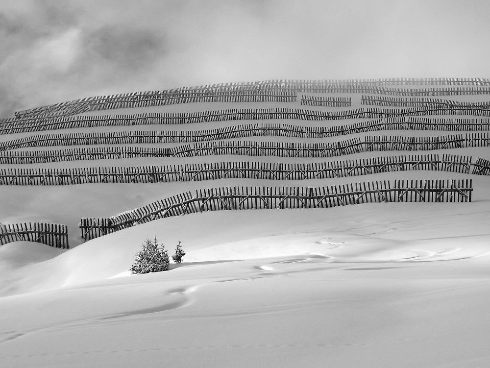 Без названия