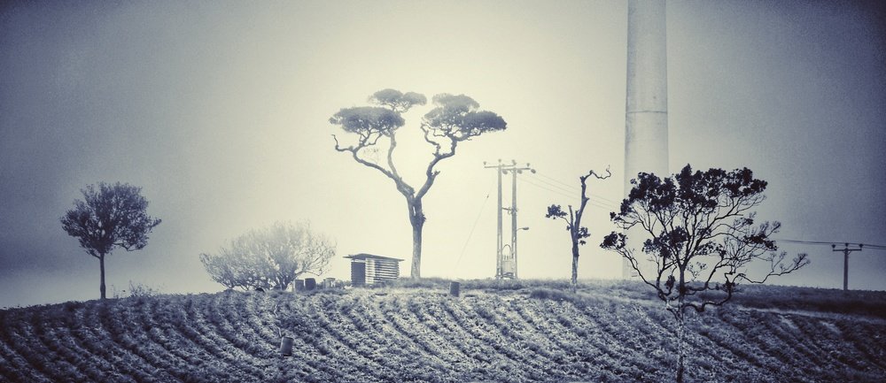 Little guy on the Prairie