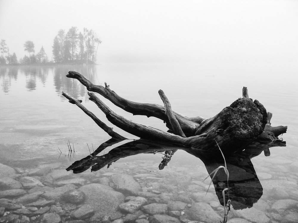 Photograph by Александр Авдушев