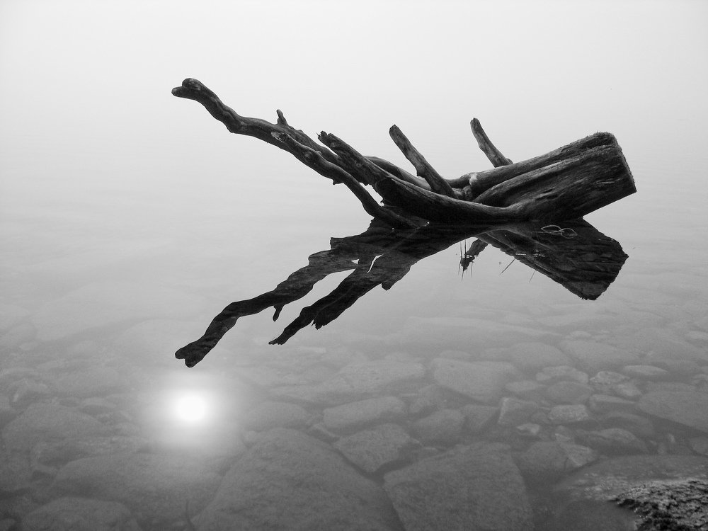 Photograph by Александр Авдушев