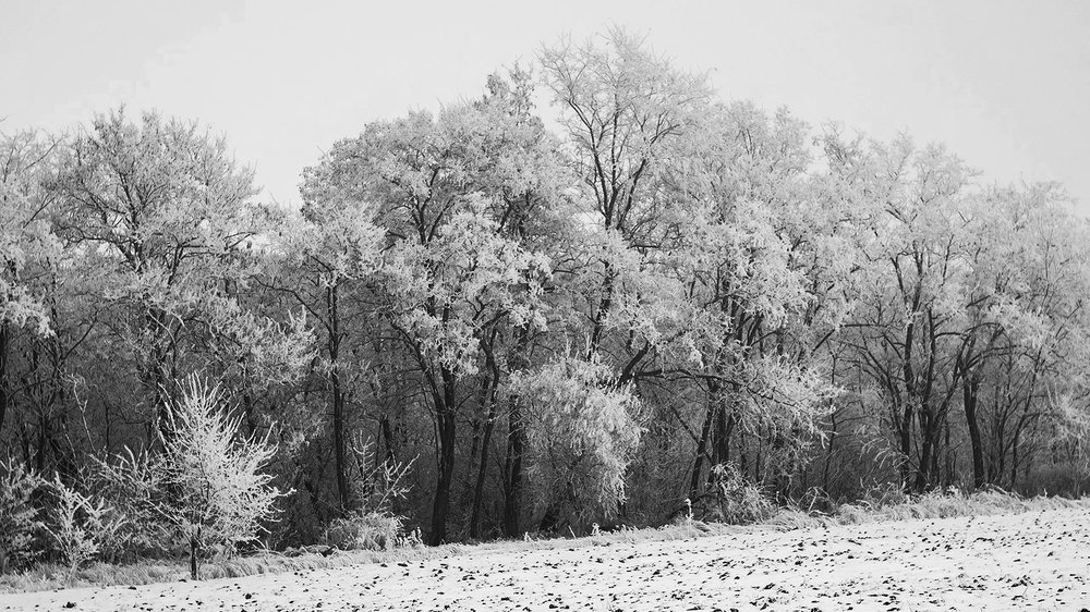 Photograph by Игорь Мальцев