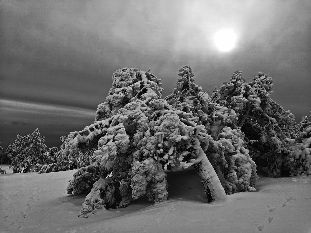 На плато Ай-Петри.