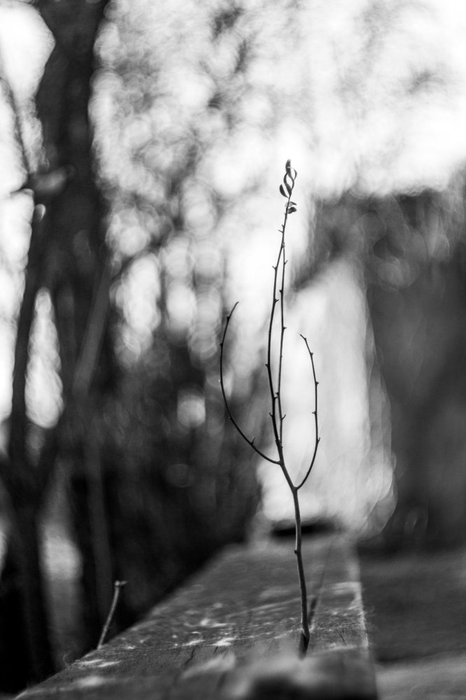 начало весны