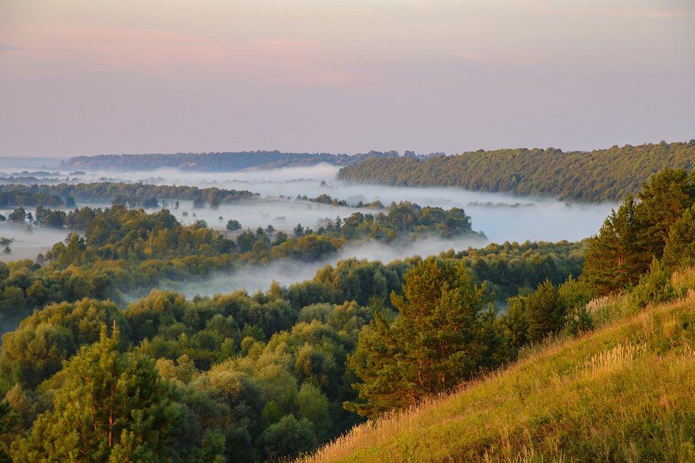 Туманный зигзаг