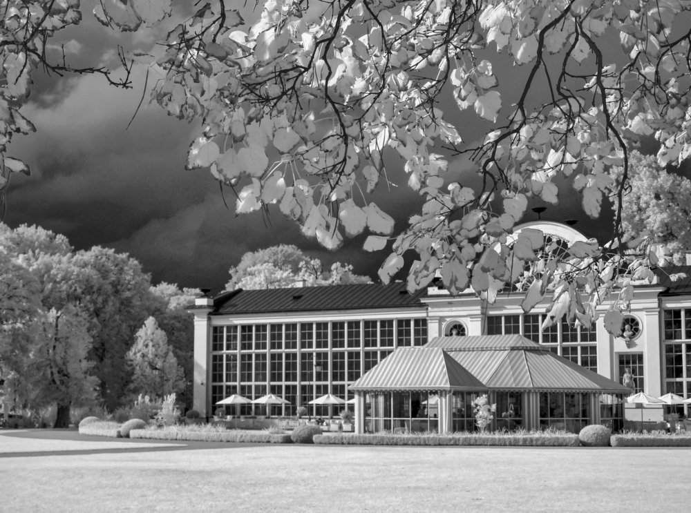 walking on the infrared