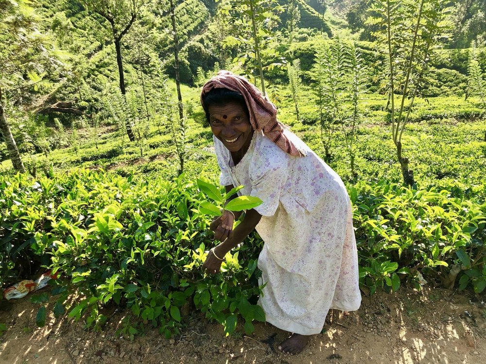Волшебная Шри-Ланка