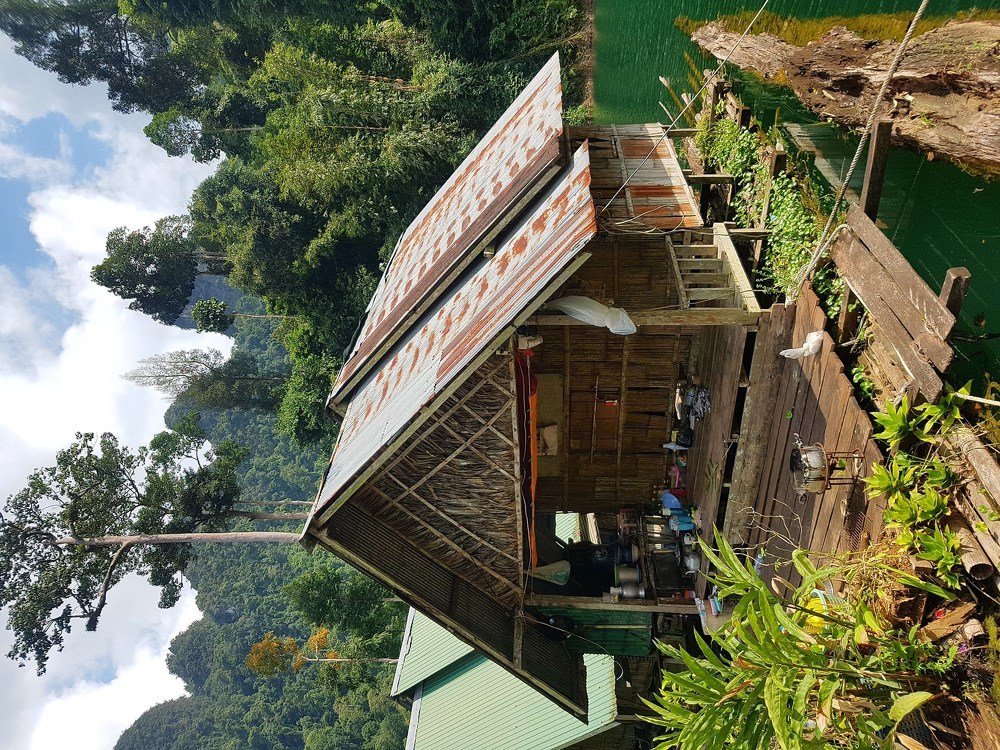 Такая разная жизнь