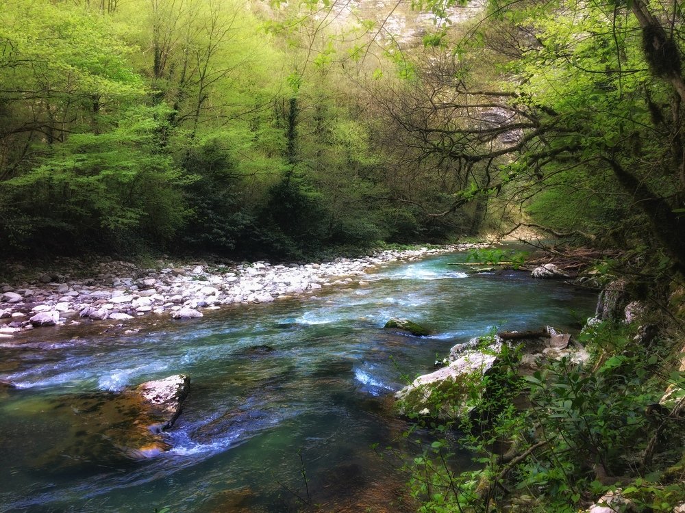 Горная река