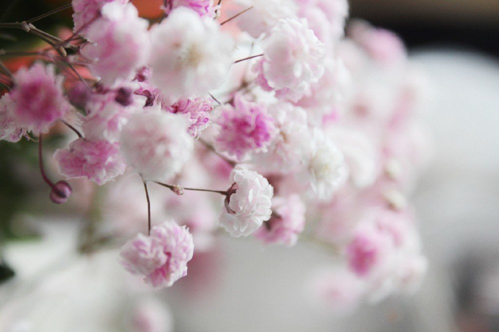 Photograph by Тихонова Ольга