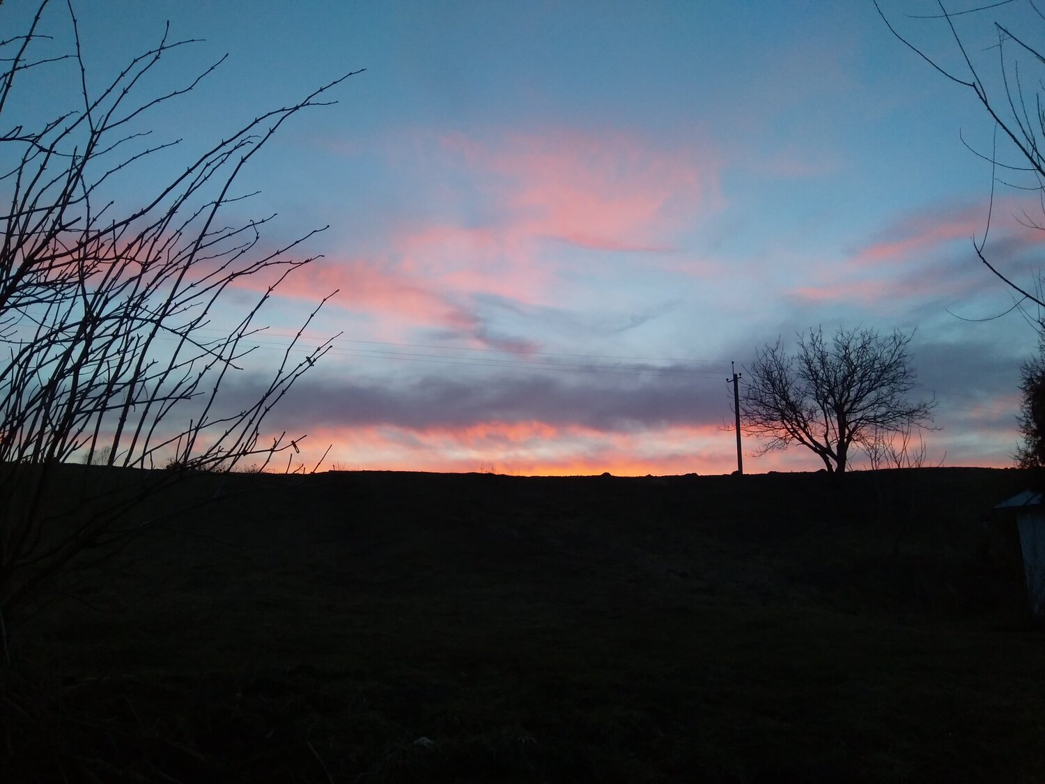 Evening sky