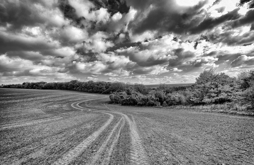 Дороги, которые нас выбирают.