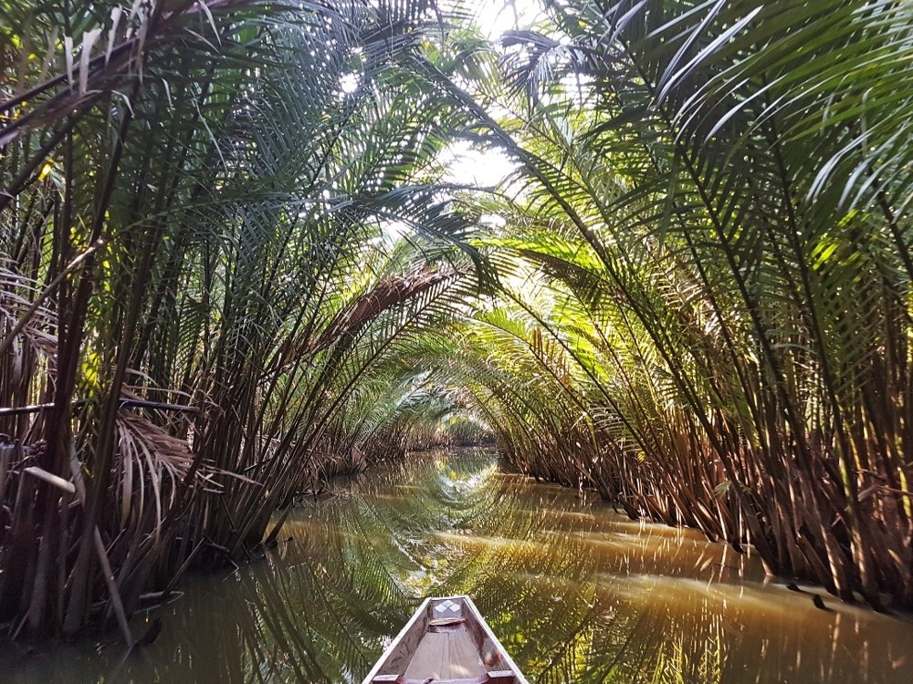 Среди пальм