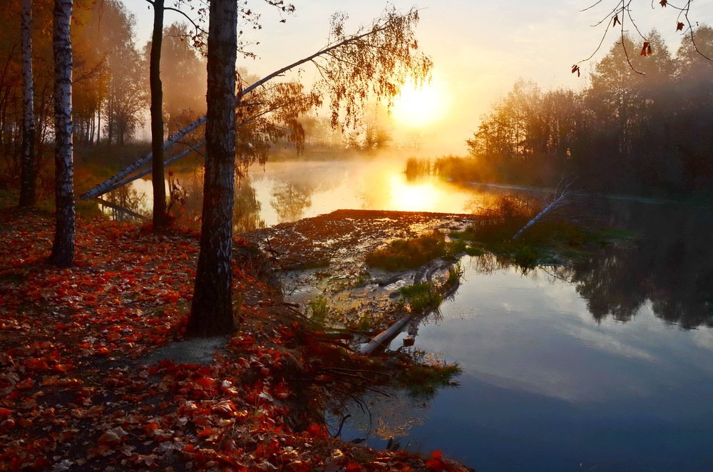 Утро осеннее