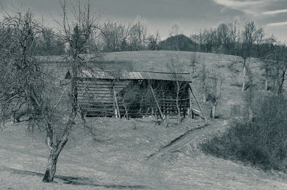 Old hayrack