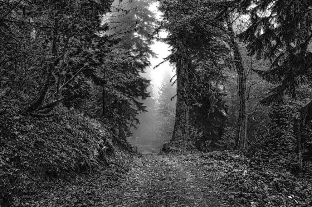 в горах Кавказа