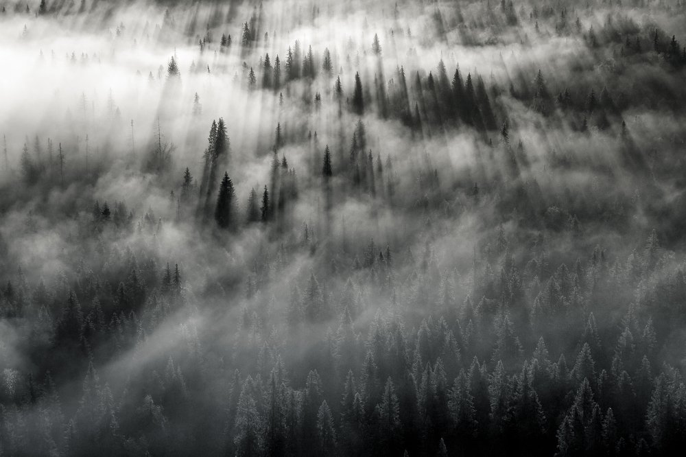 Первые лучи