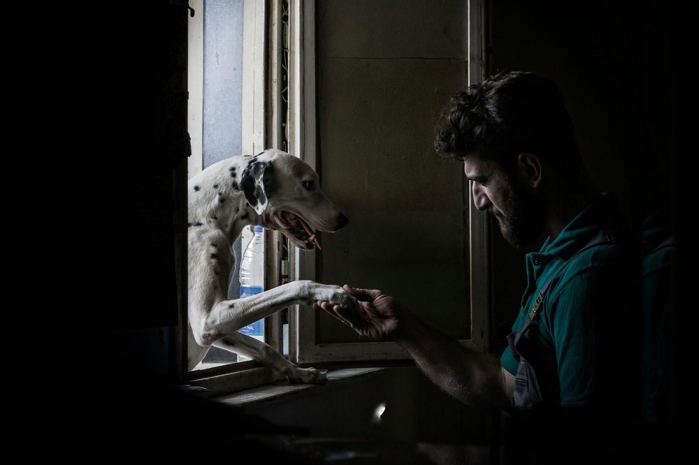 Mostafa with his dog