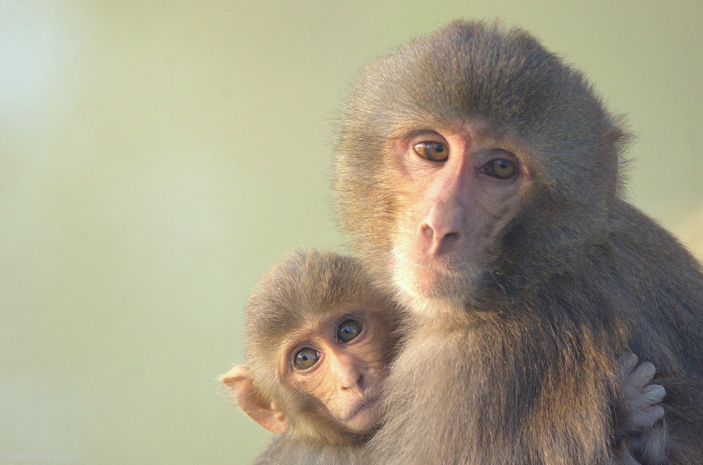 Mom and Son