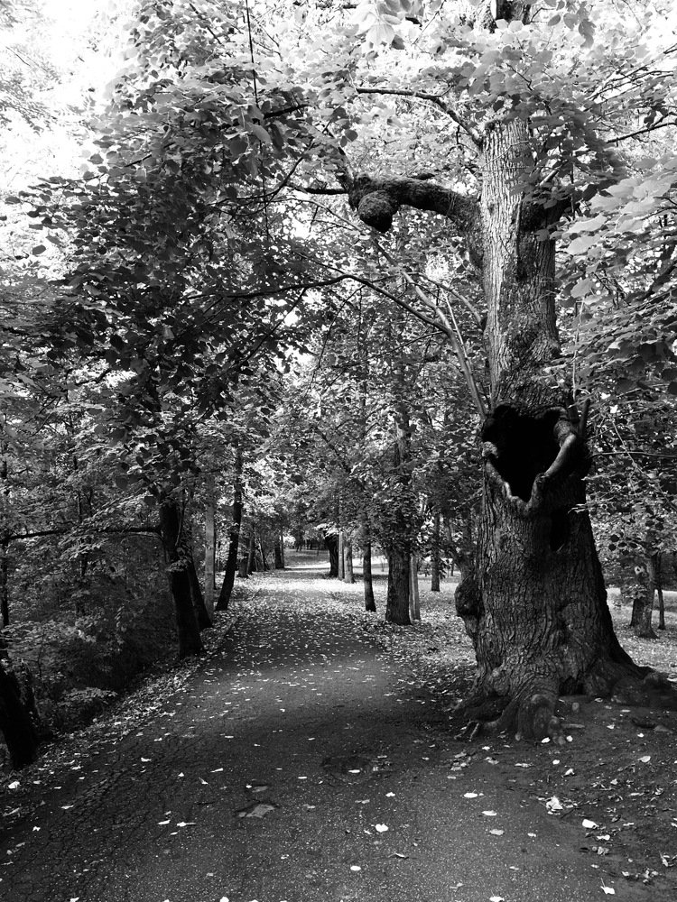 Атажукинский сад