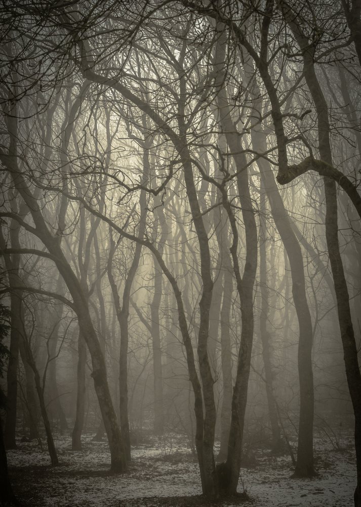 Фотография автора Константин Яковлев