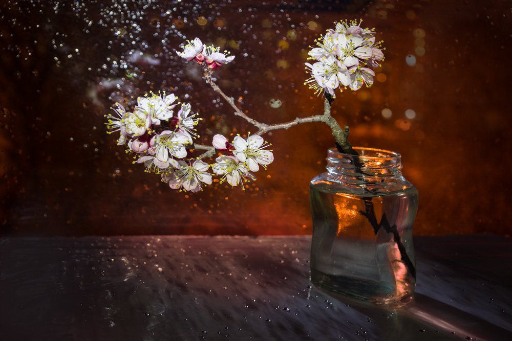 Абрикосовые брызги