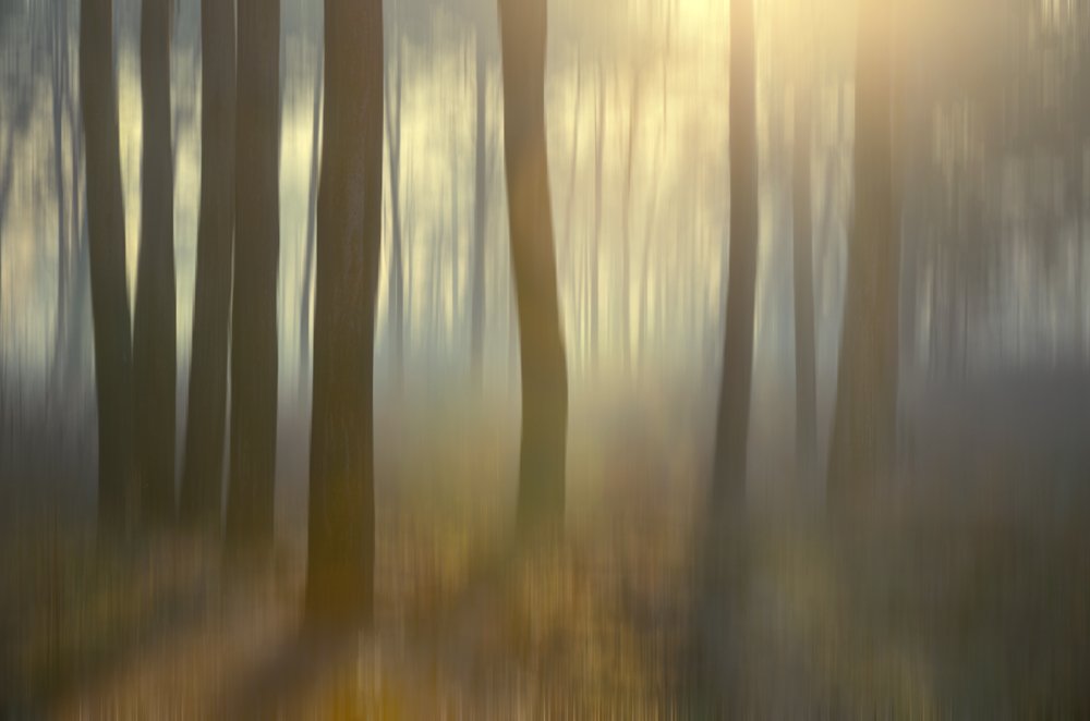 Апрельский туман