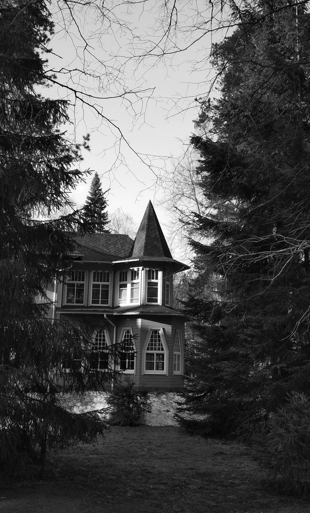 Photograph by Любовь Макарова