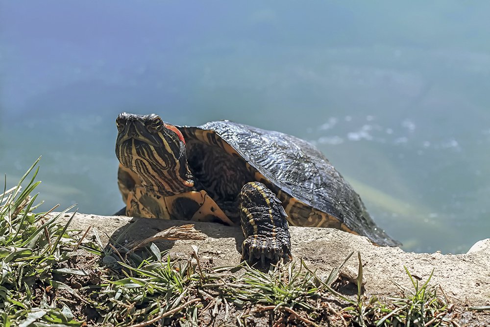 Photograph by Валерий Басыров