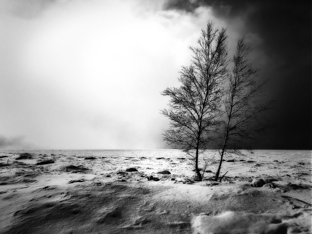 Photograph by Анна