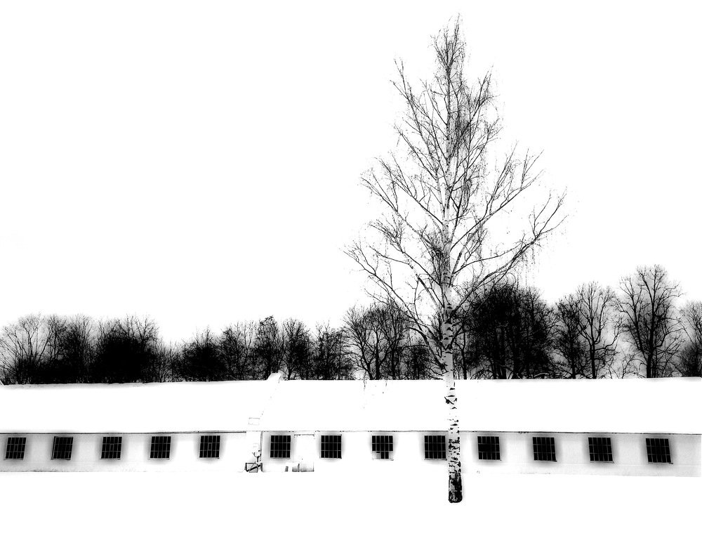Photograph by Анна