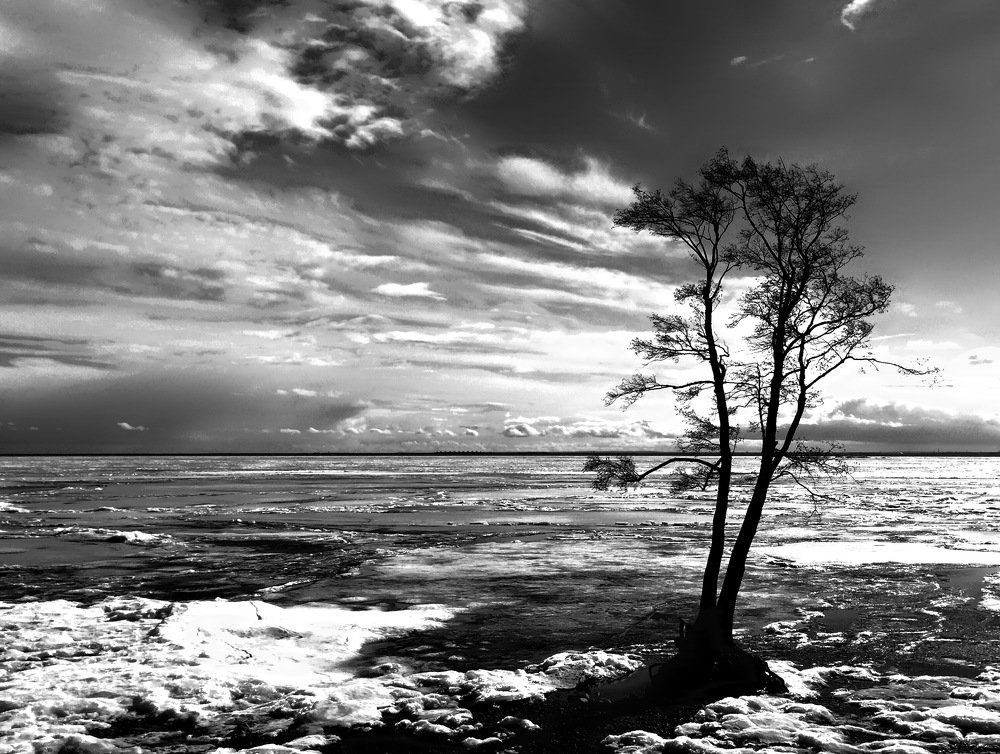 Photograph by Анна