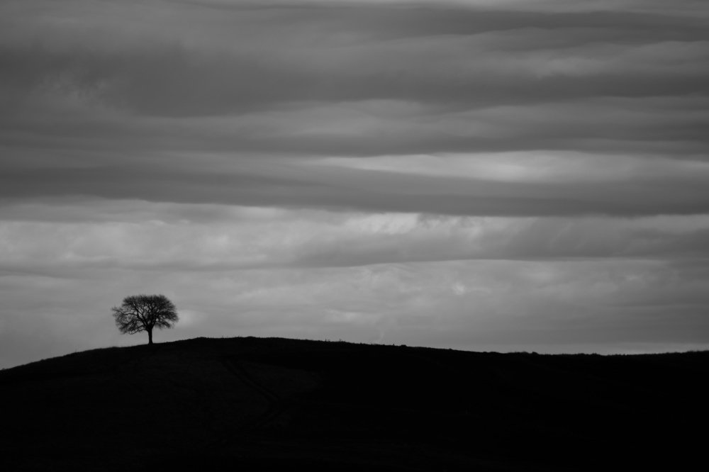 Photograph by Moslem Azimi