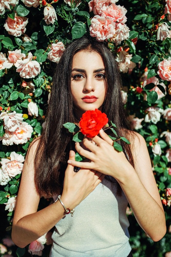 Roses