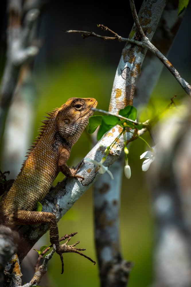 Hidden or not hidden?