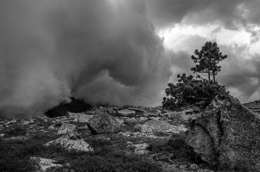 Кухня погоды.