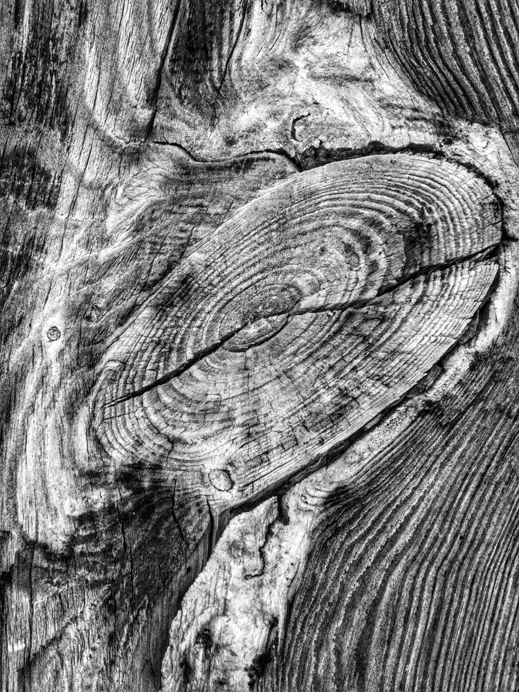 рисунок времени